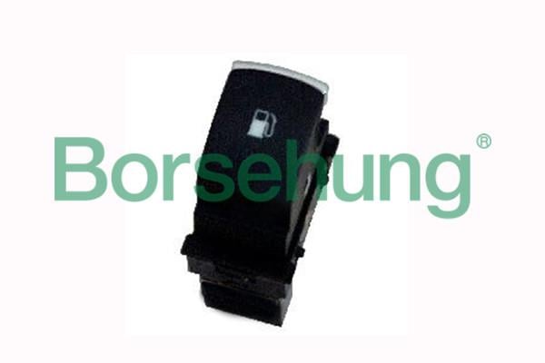 Borsehung B18184 Перемикач B18184: Купити в Україні - Добра ціна на EXIST.UA!