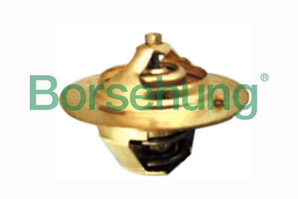 Borsehung B18234 Термостат, охолоджувальна рідина B18234: Купити в Україні - Добра ціна на EXIST.UA!