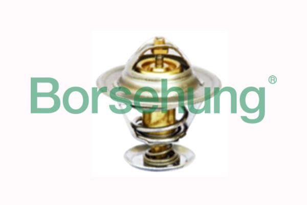 Borsehung B18244 Термостат, охолоджувальна рідина B18244: Купити в Україні - Добра ціна на EXIST.UA!