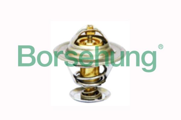 Borsehung B18245 Термостат, охолоджувальна рідина B18245: Приваблива ціна - Купити в Україні на EXIST.UA!