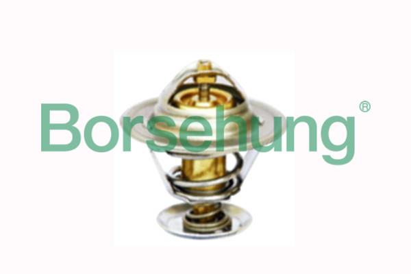 Borsehung B18246 Термостат, охолоджувальна рідина B18246: Купити в Україні - Добра ціна на EXIST.UA!