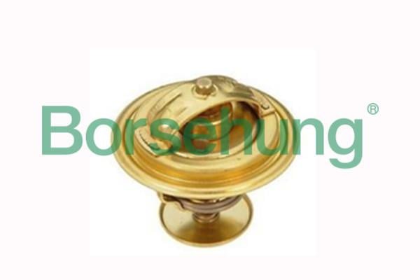 Borsehung B18262 Термостат B18262: Купити в Україні - Добра ціна на EXIST.UA!