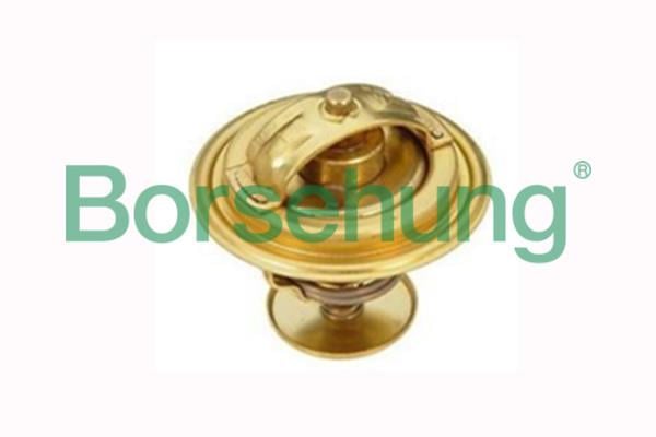 Borsehung B18265 Термостат, охолоджувальна рідина B18265: Купити в Україні - Добра ціна на EXIST.UA!