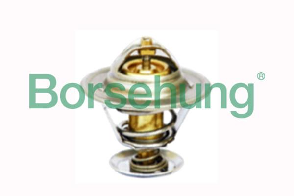 Borsehung B18281 Термостат B18281: Приваблива ціна - Купити в Україні на EXIST.UA!