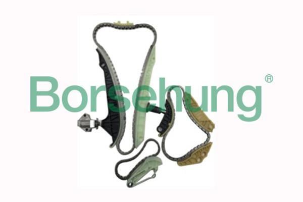 Комплект ланцюга ГРМ Borsehung B18468