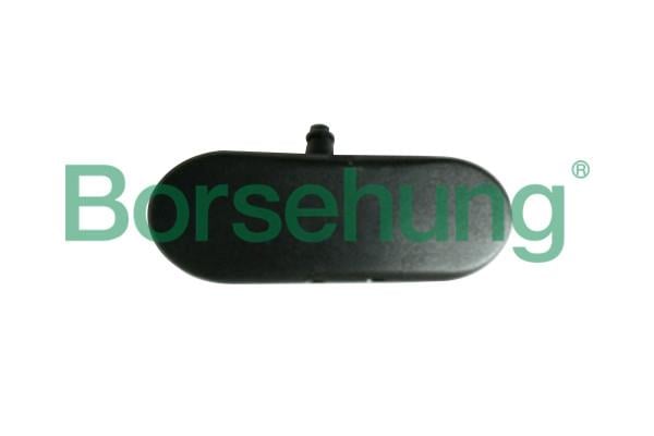Borsehung B18496 Розпилювач форсунки B18496: Купити в Україні - Добра ціна на EXIST.UA!