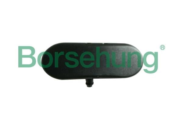 Borsehung B18497 Розпилювач форсунки B18497: Купити в Україні - Добра ціна на EXIST.UA!