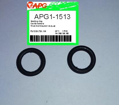 APG APG1-1513 Автозапчастина APG11513: Купити в Україні - Добра ціна на EXIST.UA!
