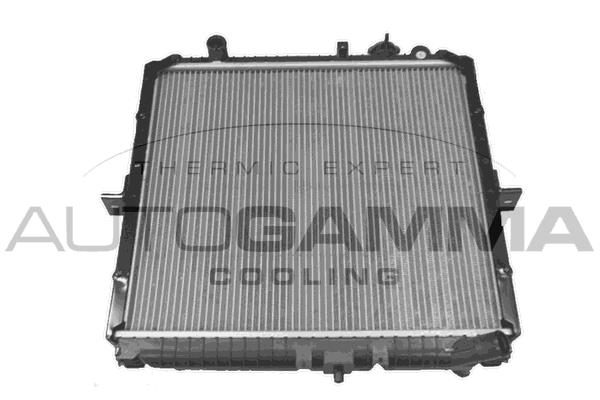 Autogamma 107836 Радіатор, система охолодження двигуна 107836: Купити в Україні - Добра ціна на EXIST.UA!