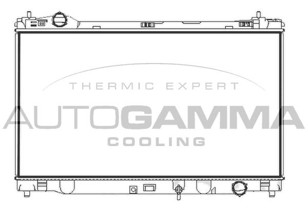 Autogamma 107971 Радіатор, система охолодження двигуна 107971: Купити в Україні - Добра ціна на EXIST.UA!