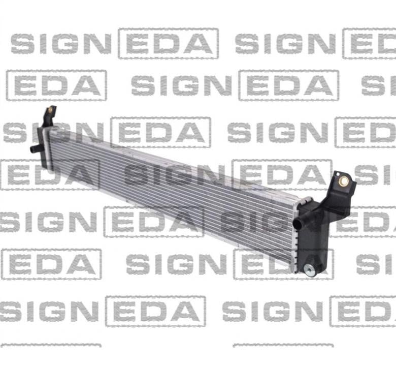 RA613TYA403 Signeda Радиатор охлаждения двигателя