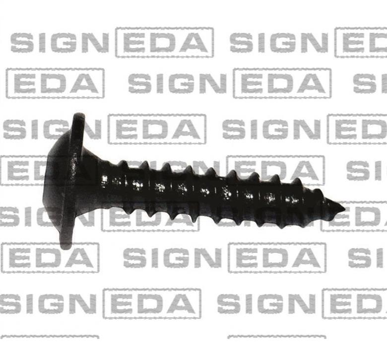T140710 Signeda Клипсы
