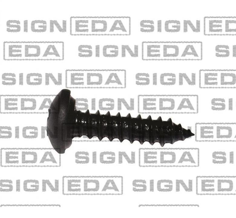 T142110 Signeda Кліпси