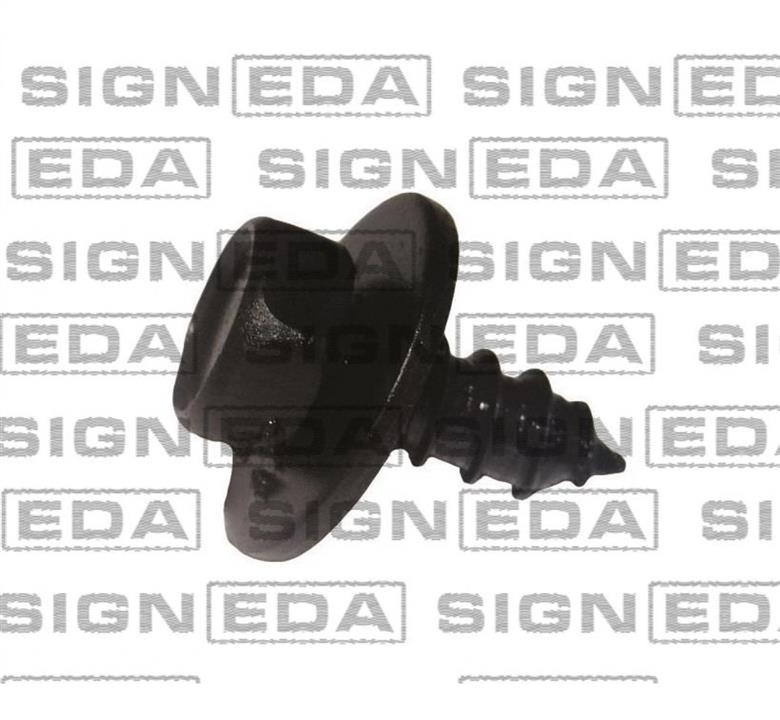 T145110 Signeda Кліпси