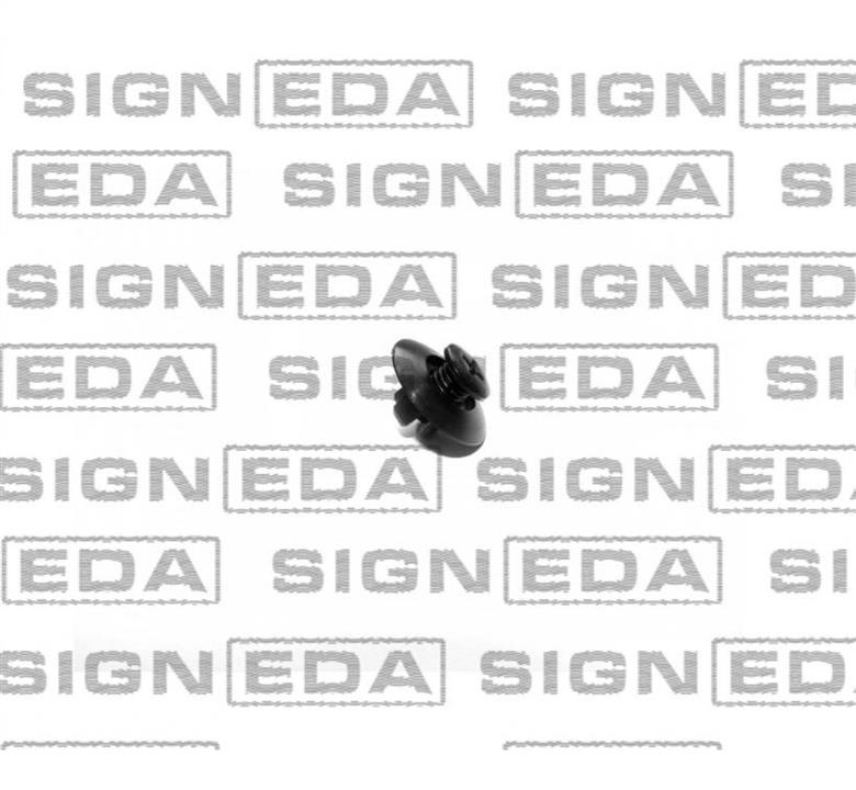 T200210 Signeda Кліпси