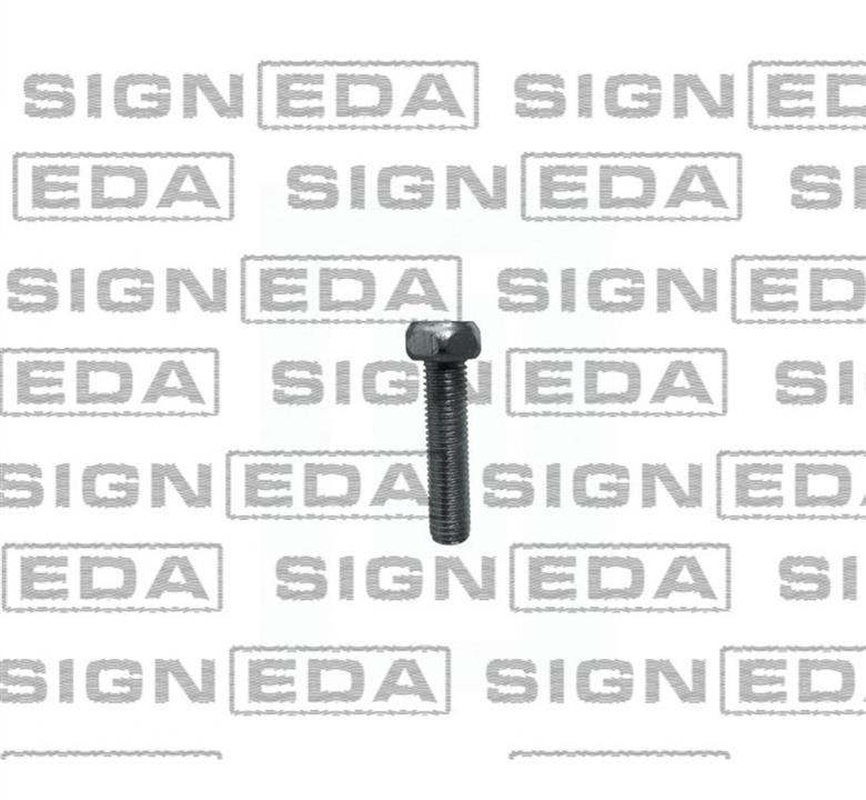 T242010 Signeda Клипсы