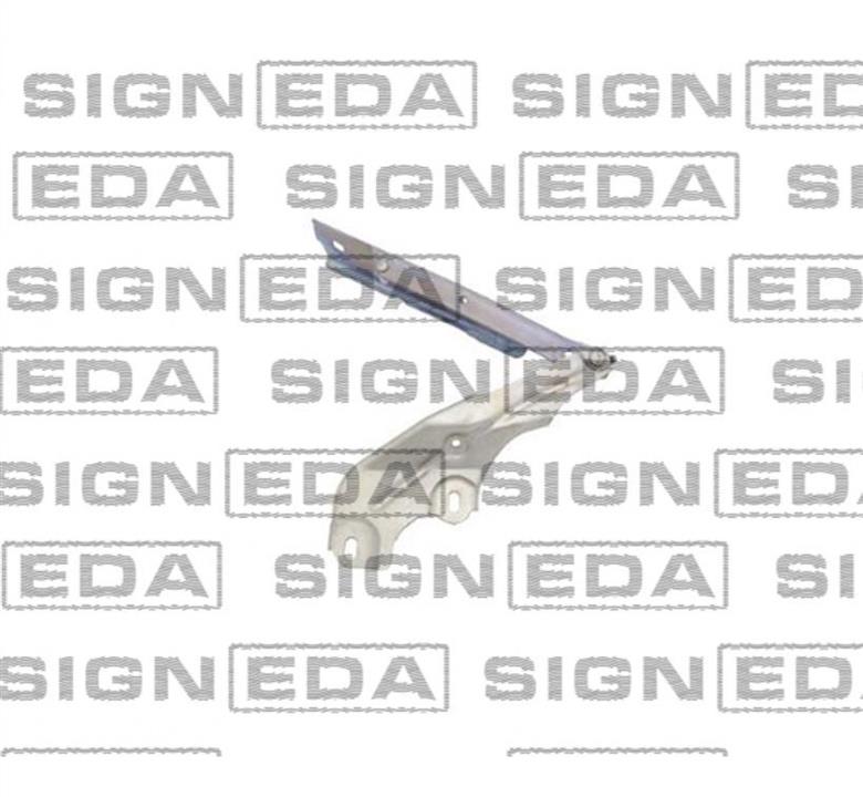 Петли капота Ауди: PAD21025AR Signeda Петля капота правая