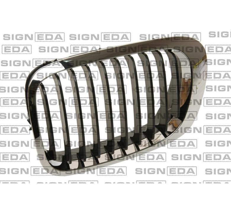PBM07010GBR Signeda Решітка радіатора права
