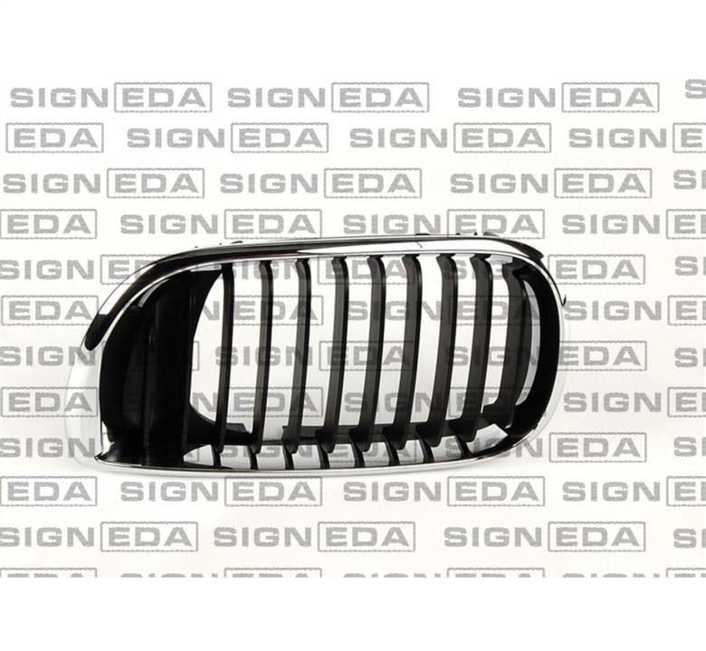 PBM07012GAR Signeda Решітка радіатора права