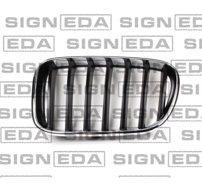 PBM07068GAR Signeda Решітка радіатора права