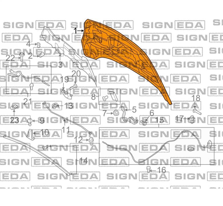 Капот Форд: PFD20179A Signeda Капот