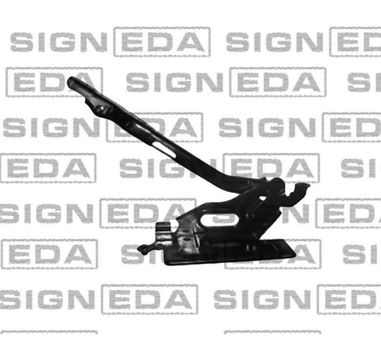 PFD21196AR Signeda Петля капоту права
