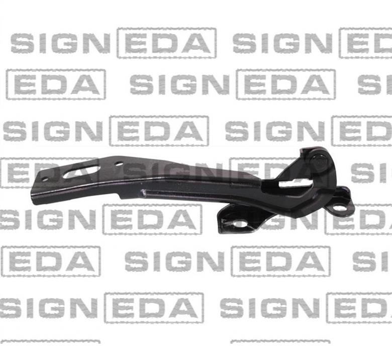 PHD21097AR Signeda Петля капота правая