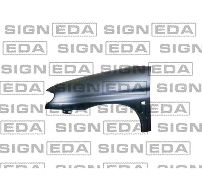 Signeda PPG10078BR(I) Крило переднє праве PPG10078BRI: Купити в Україні - Добра ціна на EXIST.UA!