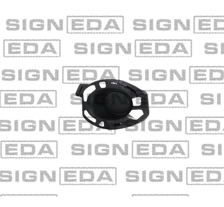 Signeda PRN99054CAR Решітка бампера переднього (заглушка) права PRN99054CAR: Купити в Україні - Добра ціна на EXIST.UA!