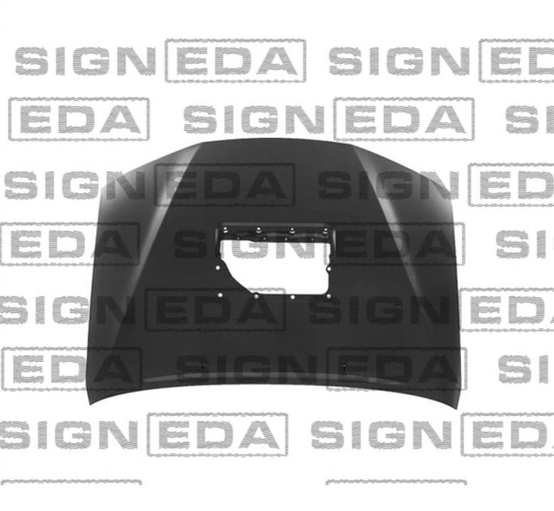 PTY20209B Signeda Капот