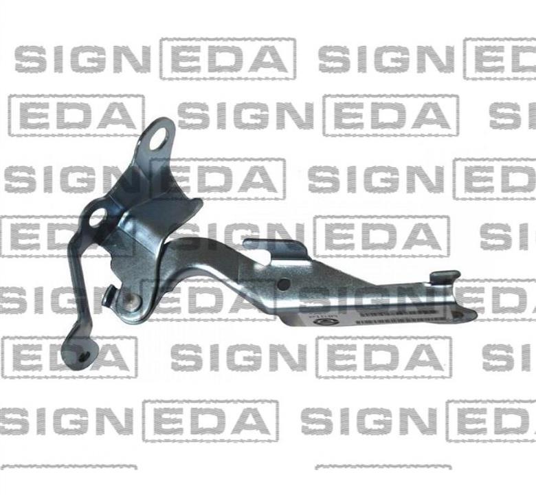 PTY21096AR Signeda Петля капота правая