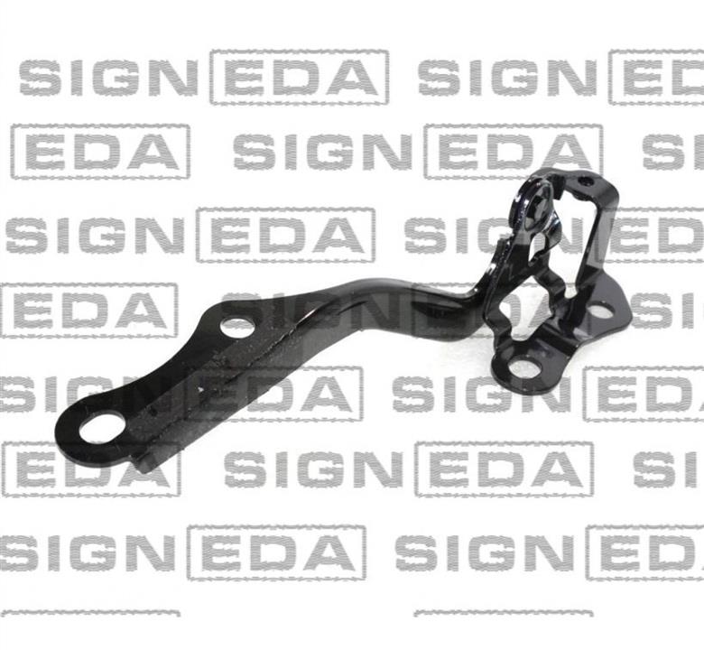 PTY21147AR Signeda Петля капота правая