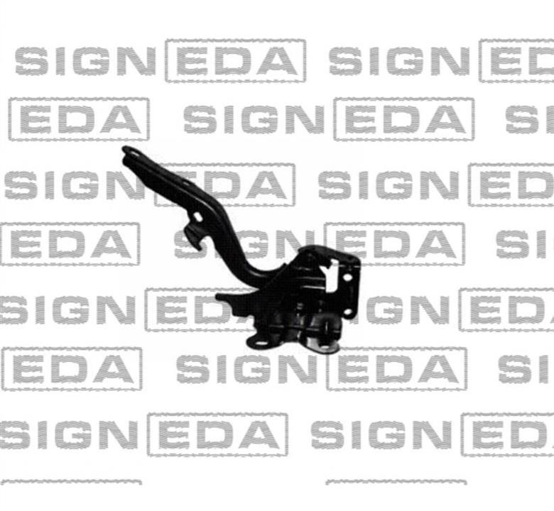 Петлі капота Лексус: PTY21171AR Signeda Петля капоту права