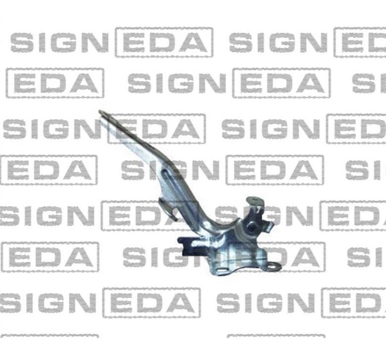 PTY21174AR Signeda Петля капота правая