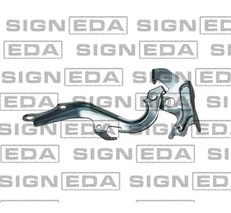 PTY21175AR Signeda Петля капота правая