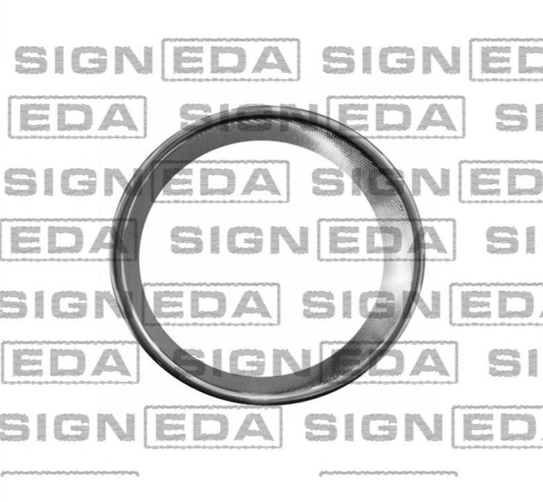 PTY99289CAL Signeda Рамка фары противотуманной левой