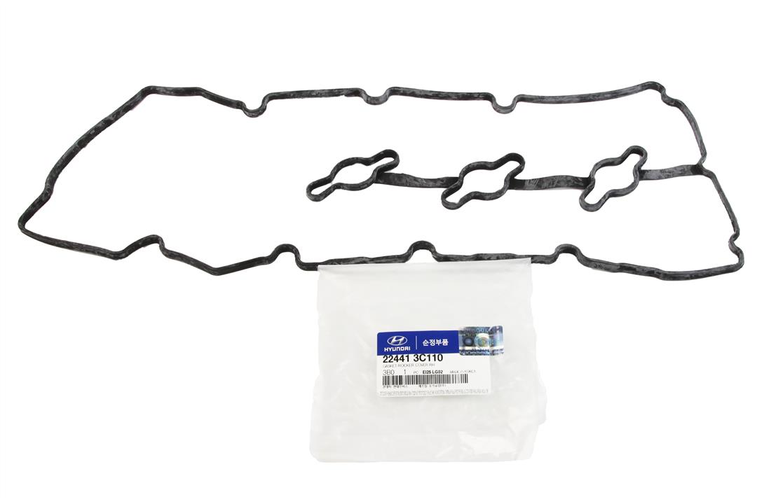 Купить Hyundai/Kia 22441-3C110 по низкой цене в Украине!