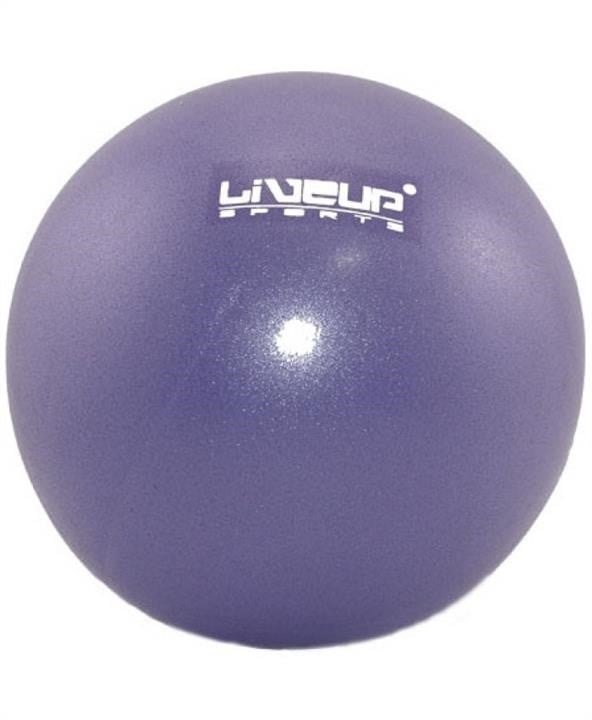 LiveUP LS3225-20P М'яч LS3225-20p LiveUp MINI BALL /20/ Фіолетовий LS322520P: Купити в Україні - Добра ціна на EXIST.UA!