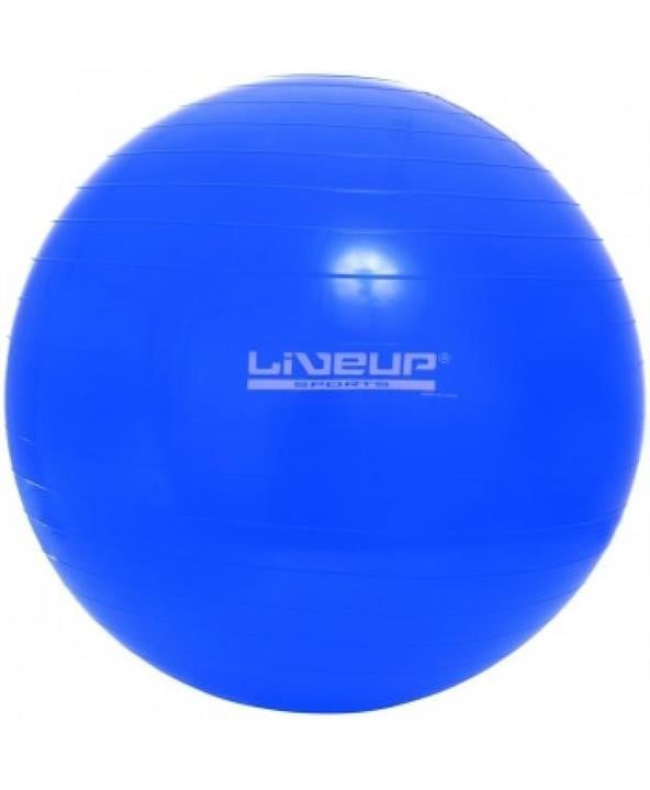 LiveUP LS3221-65B Фітбол LS3221-65b LiveUp GYM BALL /65/ Синій LS322165B: Купити в Україні - Добра ціна на EXIST.UA!