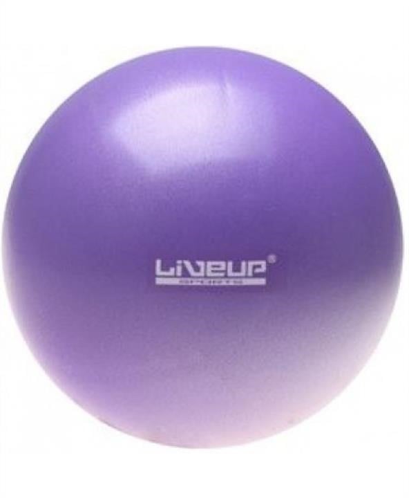 LiveUP LS3561-P М'яч гімнастичний LS3561-p LiveUp GYMNASTIC BALL /18/ Фіолетовий LS3561P: Купити в Україні - Добра ціна на EXIST.UA!