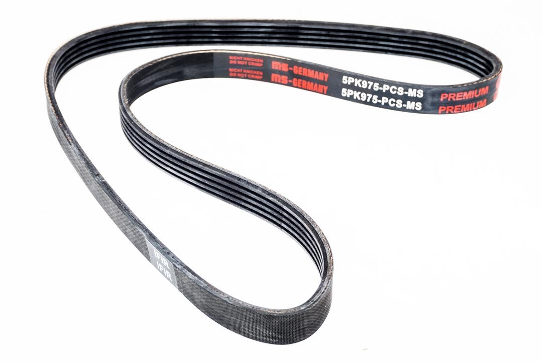 Купить Master-sport 5PK975-PCS-MS по низкой цене в Украине!