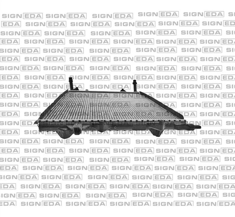 Купити Signeda RA65017 – суперціна на EXIST.UA!
