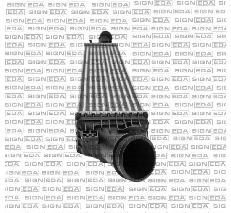 Интеркулер Signeda RC96567