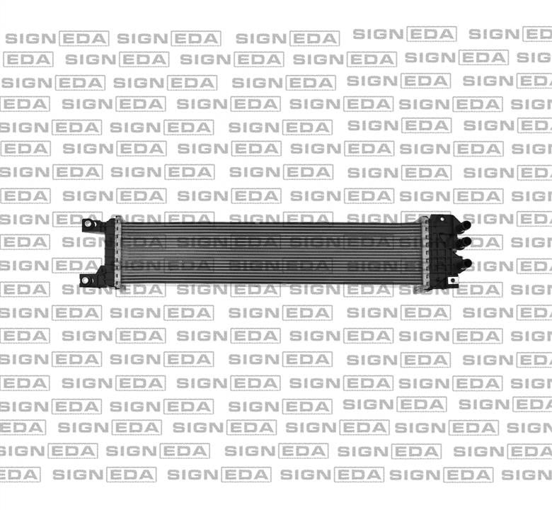 RI13499 Signeda Интеркулер