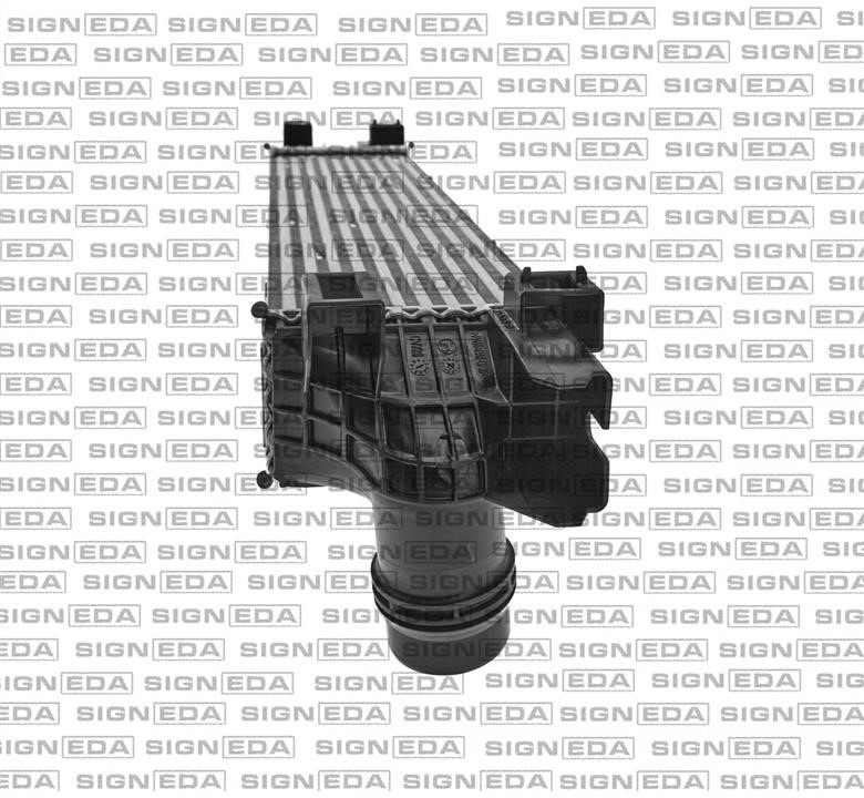Купити Signeda RI96149Q за низькою ціною в Україні!