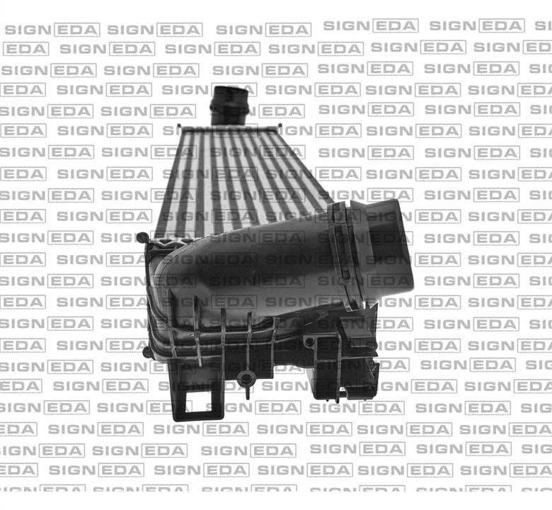 Інтеркулер Signeda RI96149Q