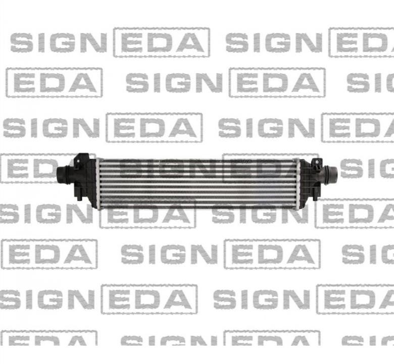 RI96173 Signeda Інтеркулер