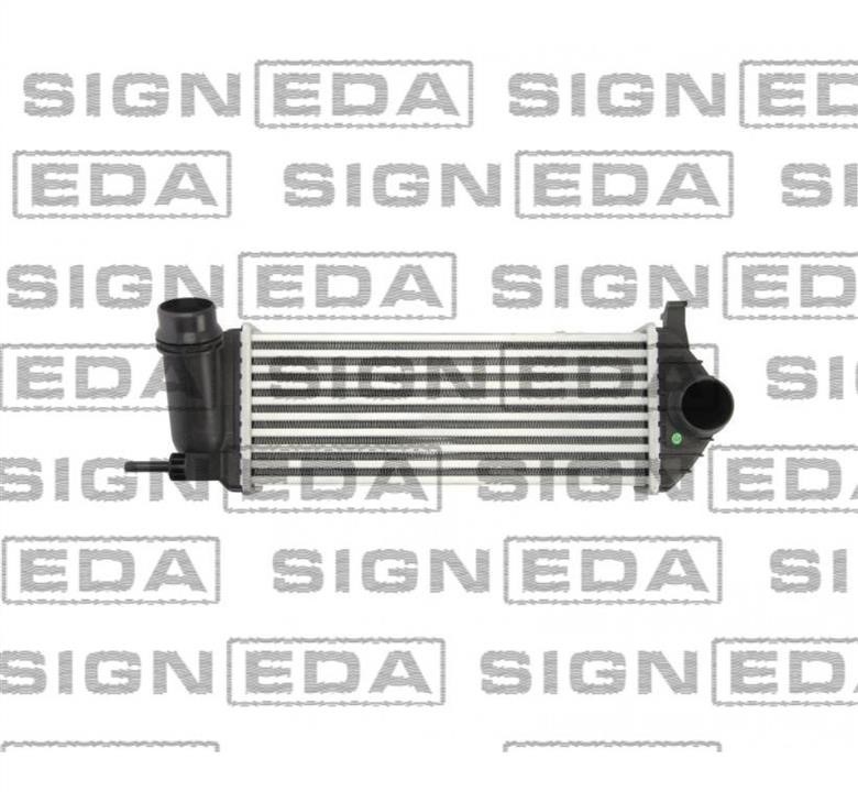 RI96308 Signeda Интеркулер