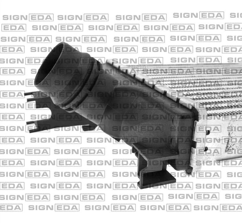 Купить Signeda RI96328 – отличная цена на EXIST.UA!