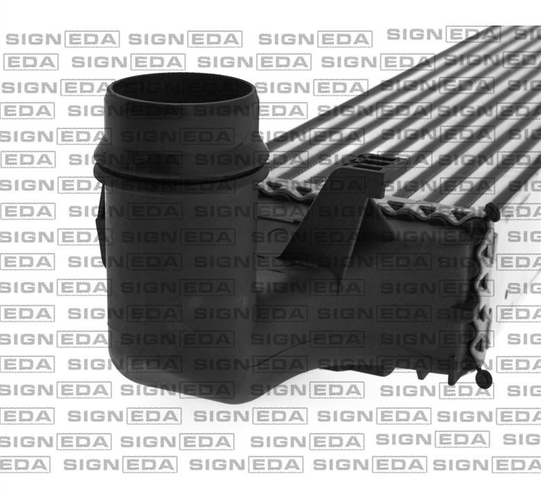 Купить Signeda RI96334 – отличная цена на EXIST.UA!